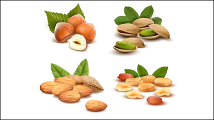 4 delicious snack nuts vector material