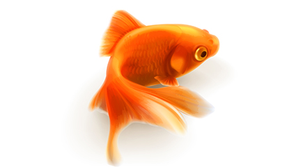 Goldfish vector material Realistic design