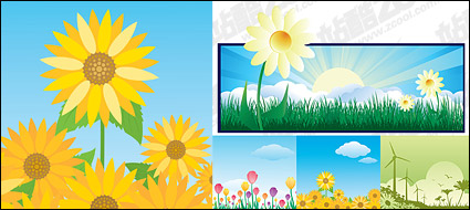 Beautiful flower theme vector illustration