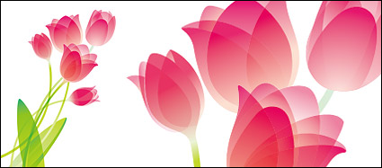 tulip special material