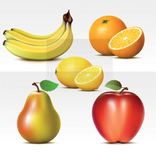Vector fresh fruit