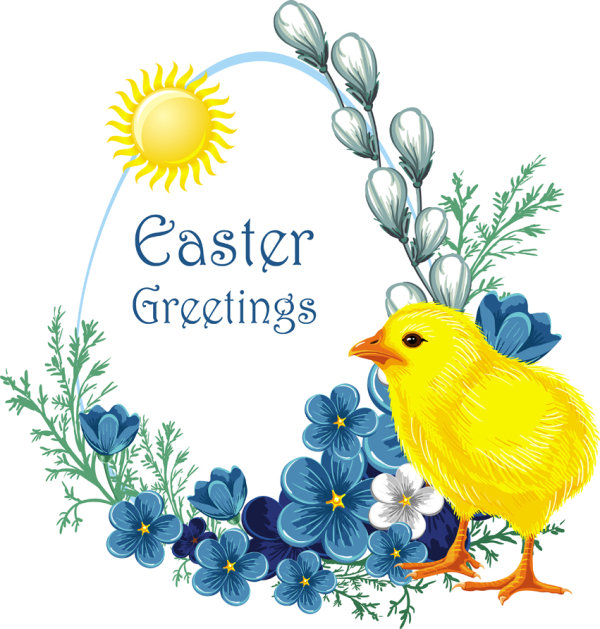 Easter chicks vector -3