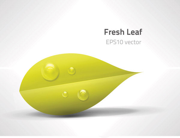 Green leaves vector material