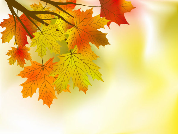 Beautiful Maple Leaf Background 01 - Vector