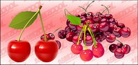 Cherry Vector fine material