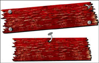 Nail template vector material