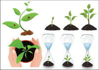 Vector plant seedlings			