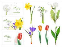Some flowers Vector			