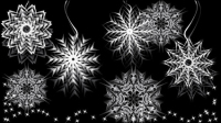 Black and white pattern 03 - vector material