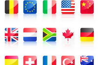 Flag icon vector material