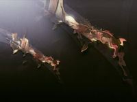 Colorful design enjoy the cool