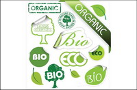 Green theme stickers icon vector material