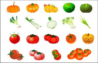 Vegetable Vector - Pumpkin Tomato Garlic Onion