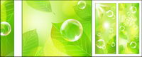Vector fresh green background material