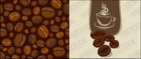 Vector material coffee beans
