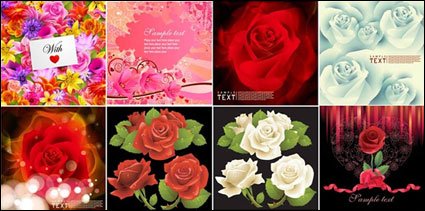 Beautiful flowers Vector