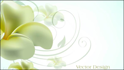 Text elegant lily design background vector material