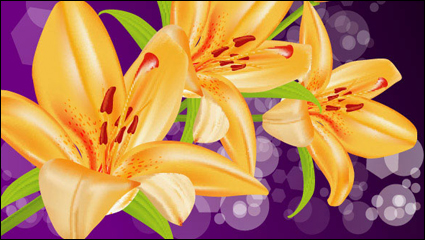 Yellow lily Vector -5