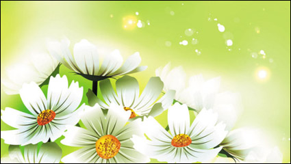 Beautiful flowers 01 - vector