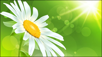 Exquisite flowers 04 - vector material