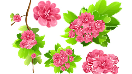 Flowers background 02 - vector material