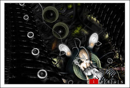 Common focus image flash ad code