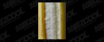 Featured banana quality picture material-7