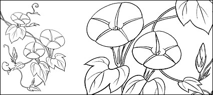 Line drawing of flowers -9