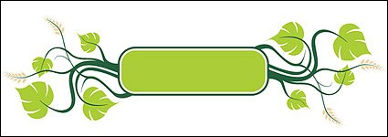 Rattan plant material element vector