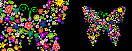 Colourful flowers of the butterfly