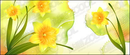 Dreams and Narcissus vector background material
